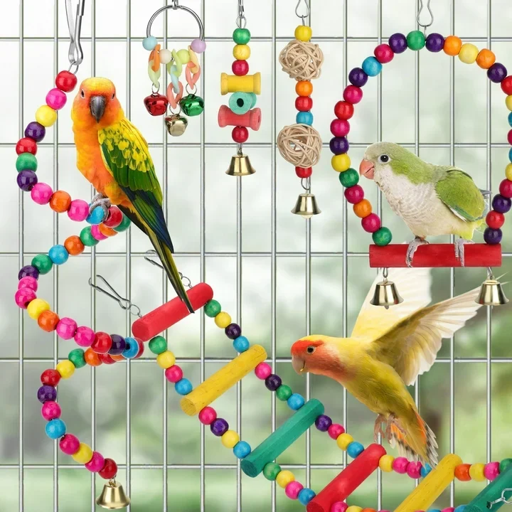 Birds Accessories