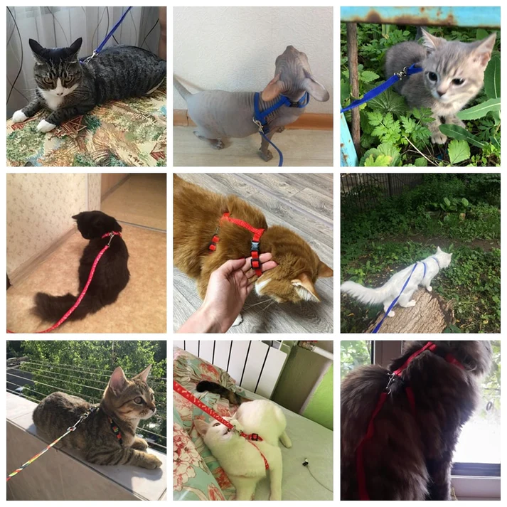 Plain Pet harness Adjustable - Image 2