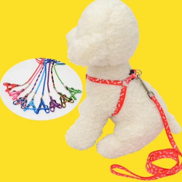 Comfortable and stylish pet harness for cats and small dogs
