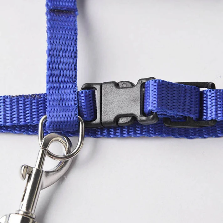 Plain Pet harness Adjustable - Image 4