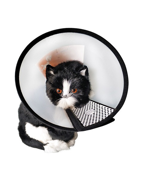 Collar / E-Collar for Cats & Dogs - Image 5