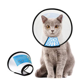 Collar / E-Collar for Cats & Dogs - Image 4