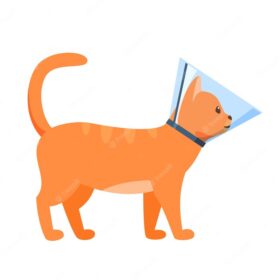 Collar / E-Collar for Cats & Dogs - Image 2