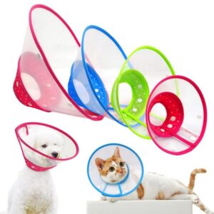 Elizabethan Collar - For Cats & Dogs