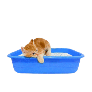 Litter Tray For Pet