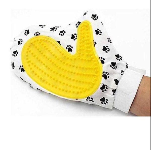 Grooming Glove