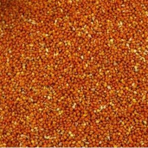 Red Cheena Seeds For Birds