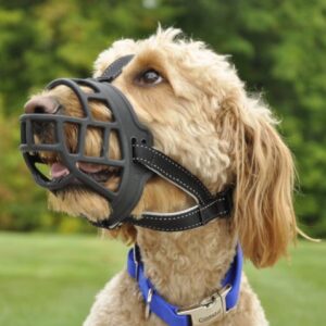 Rubber Muzzle For Dogs