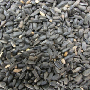 Sunflowers Seeds