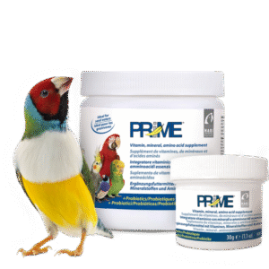 Prime Vitamin Supplement