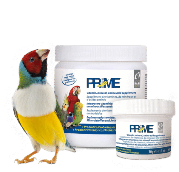 Prime Vitamin Supplement