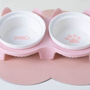 Double Pet bowl Ceramic elevated