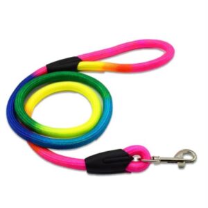 Rainbow Nylon Pet Dog Leash Walking Training Leash Cats & Dogs