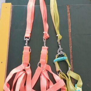 Puppy Harness Leash Collar Set