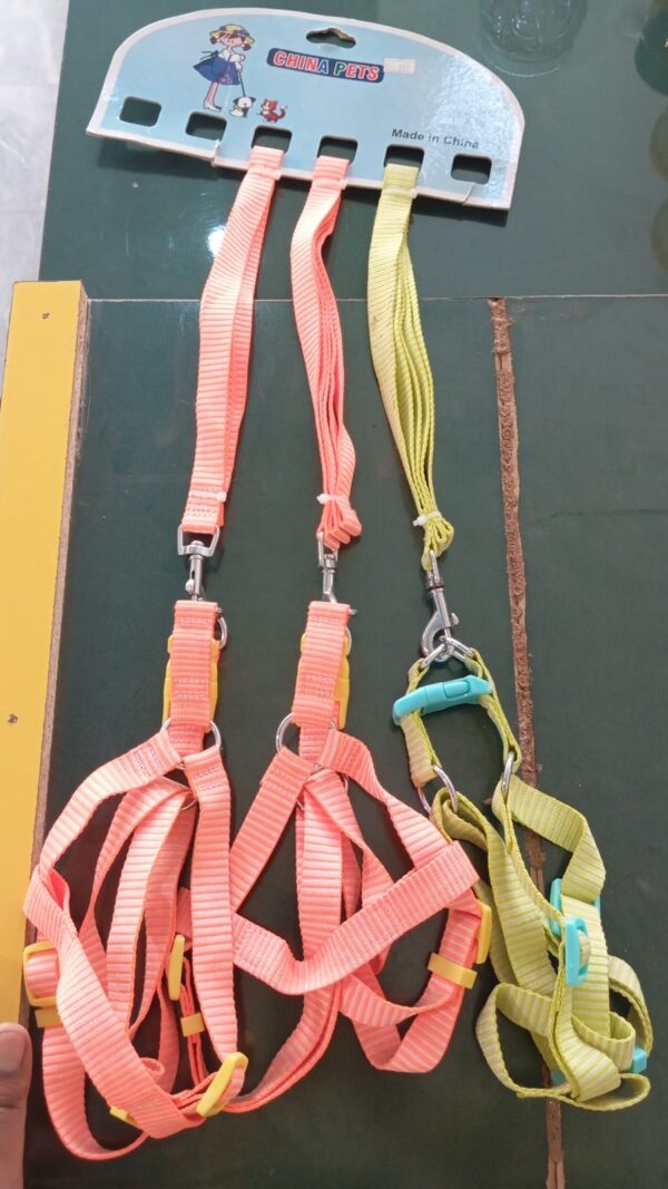 Puppy Harness Leash Collar Set