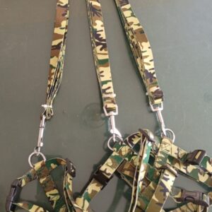 Paw Print Puppy Harness Leash Collar Set