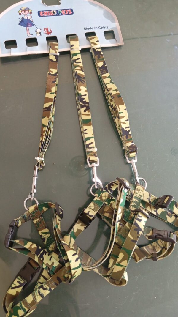 Paw Print Puppy Harness Leash Collar Set