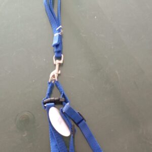 Puppy Harness Leash Collar Set