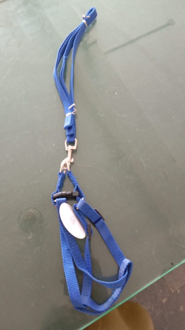 Puppy Harness Leash Collar Set