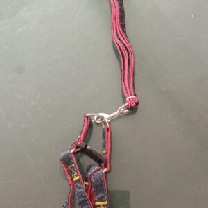 Cat / Puppy Jeans Harness Leash Set