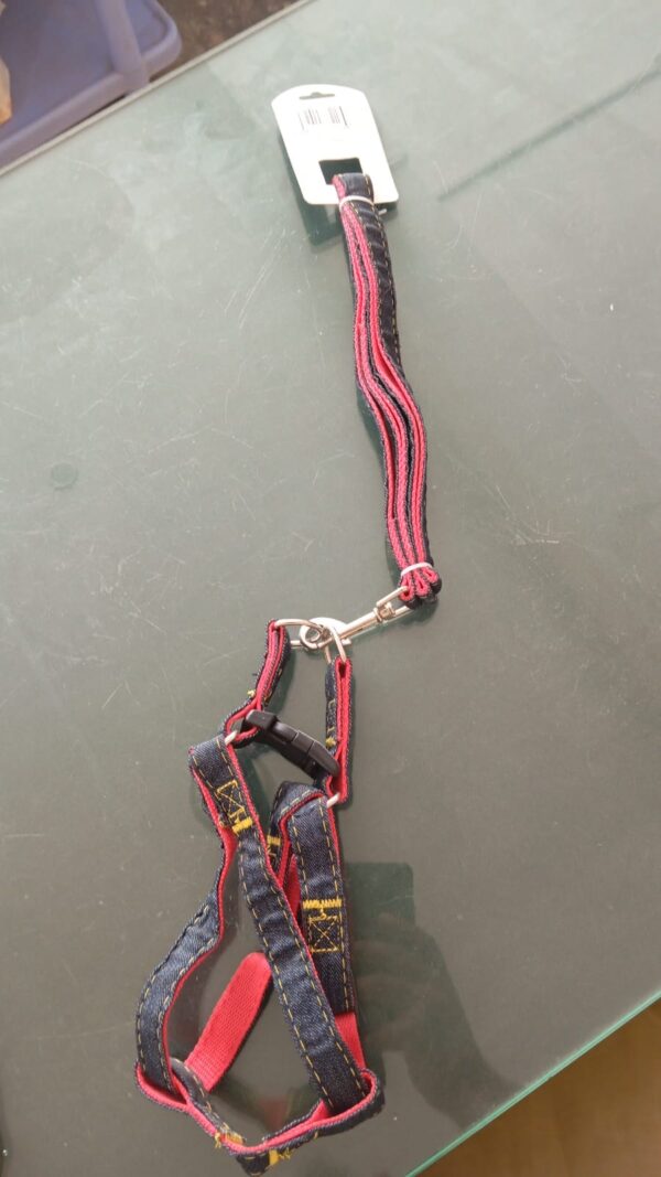 Cat / Puppy Jeans Harness Leash Set