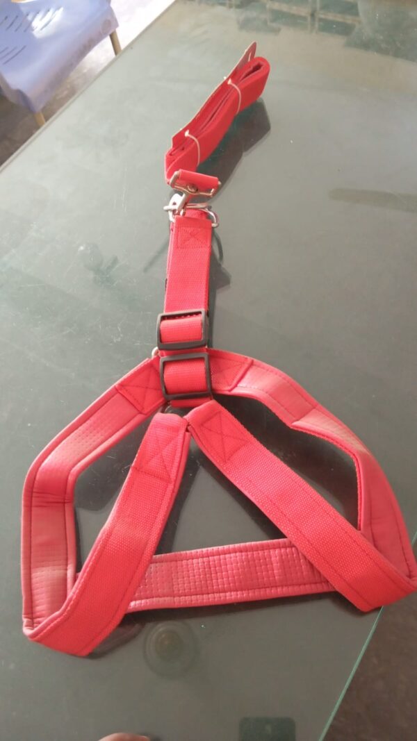 Puppy Harness Leash Set
