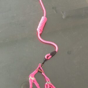 Cat / Puppy Harness Leash Set