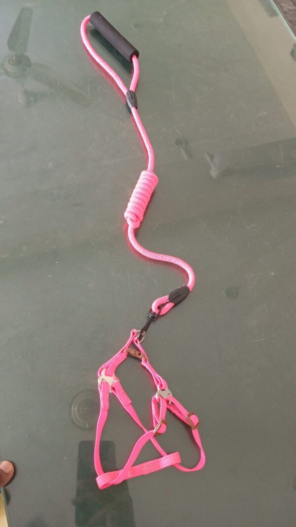 Cat / Puppy Harness Leash Set