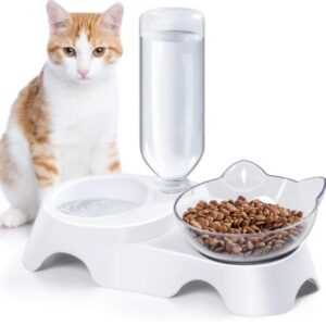 Double Pet Bowl Set Food with Automatic Water