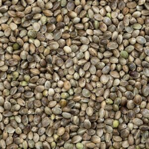Bhang Seeds