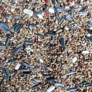 Australian (Bajri) Birds Special Mix