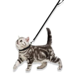 Cat / Puppy Collar & Leash Set– Adjustable & Durable