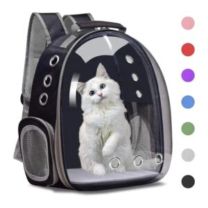 Cat Carrying Bag Transparent