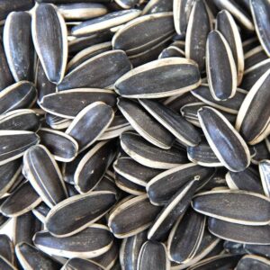 Irani Sunflower Seeds