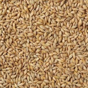 Jau Seed