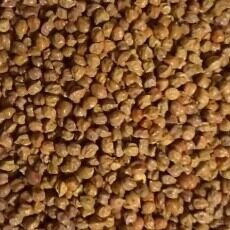 Kalai Chani  (کالی چنی۔)