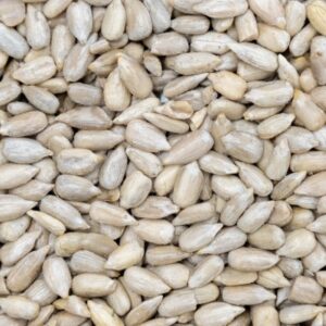 Kurtam - Safflower Seed