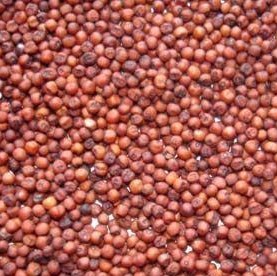 Red Sorghum Grains (Laal Jowar)