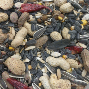 Big Birds Special Seeds Mix