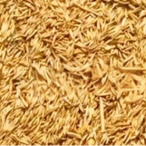 Monji  (مونجی)