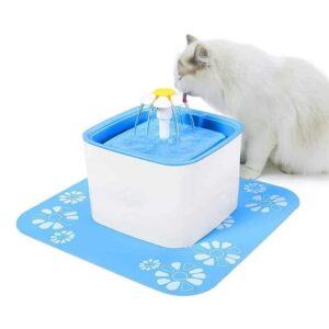 WATER FOUNTAIN