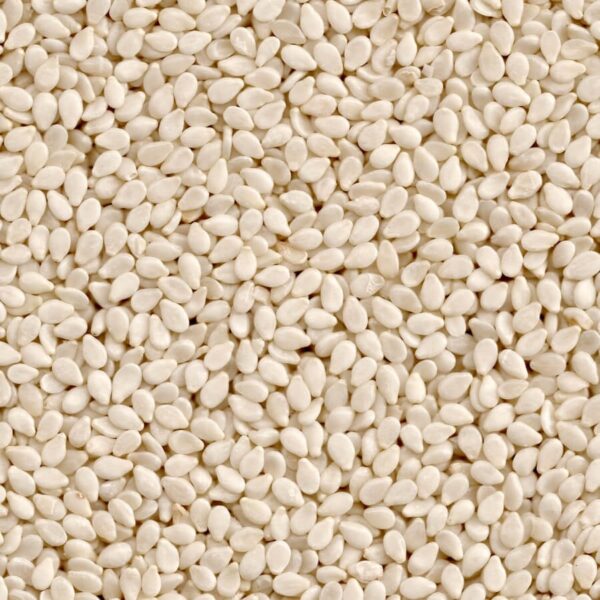 Til (Sesame) Seed